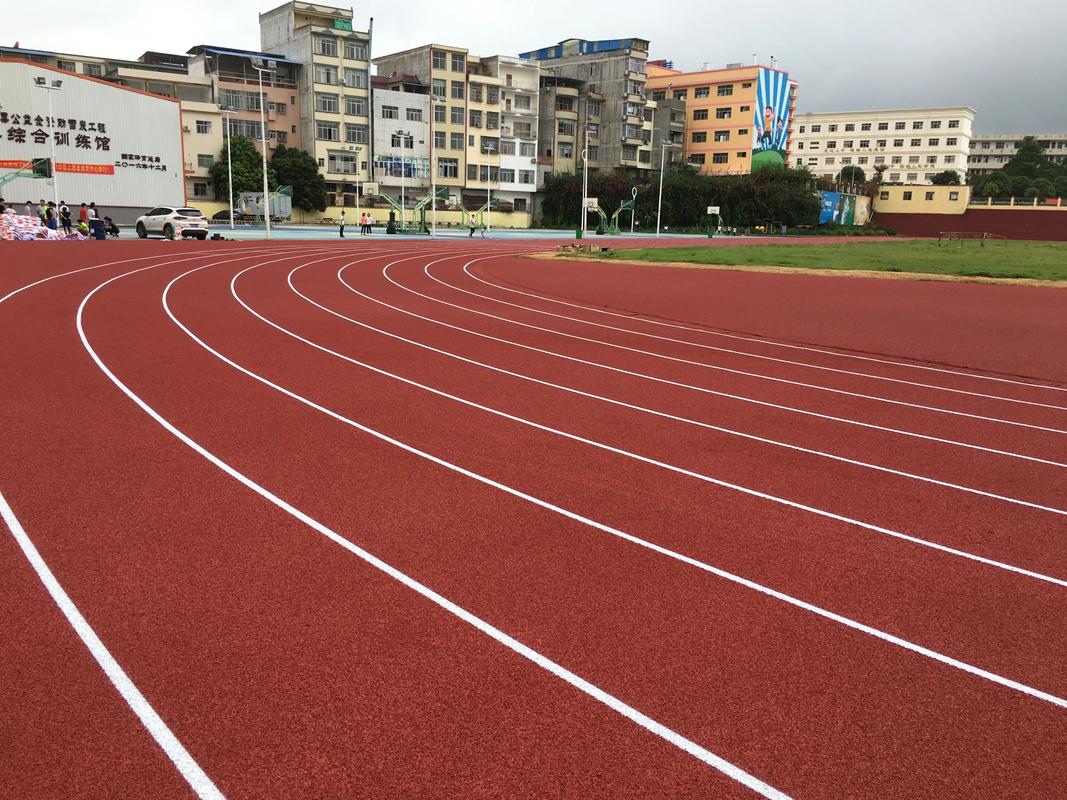 桂林市学校塑胶跑道塑胶跑道材料 - 厂家